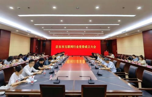 启东市互联网行业党委成立 引领江苏网站建设新风向